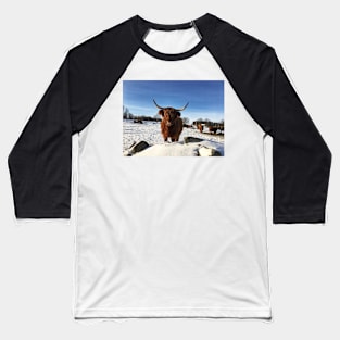 Scottish Highland Cattle Cow 2282 Baseball T-Shirt